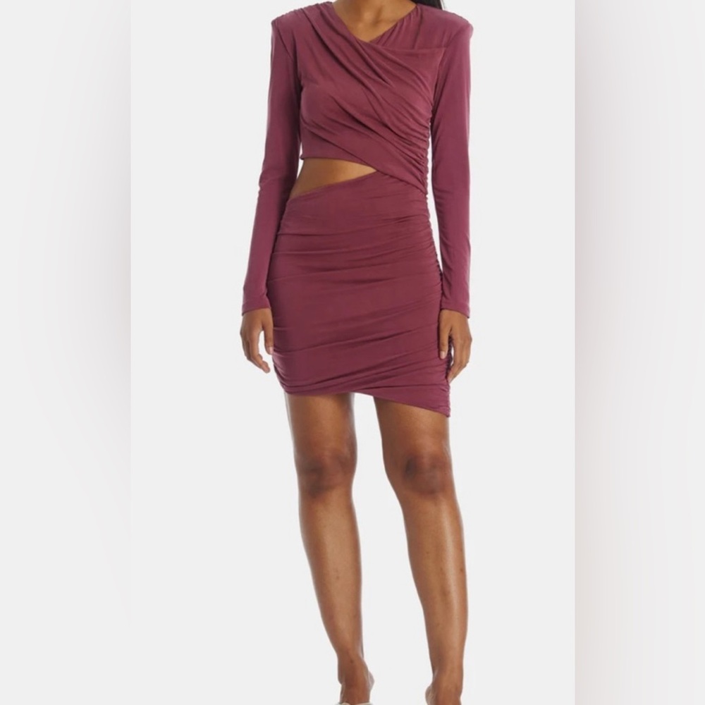 NWOT! Beautiful Bardot Rosa Ruched Mini Dress, M